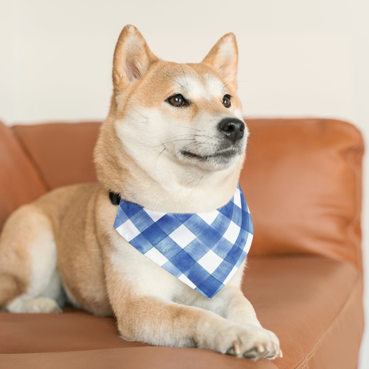 Bold Blue Bandana