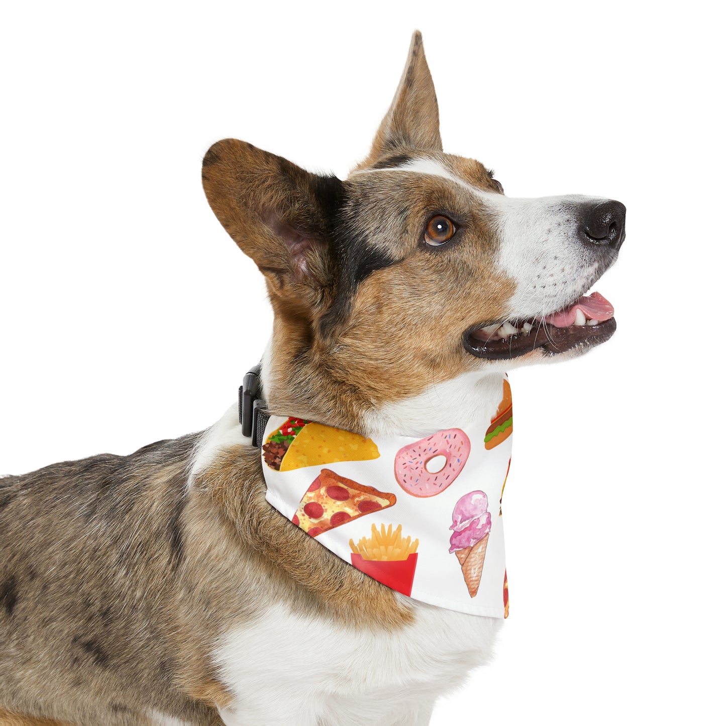 Foodie Bandana