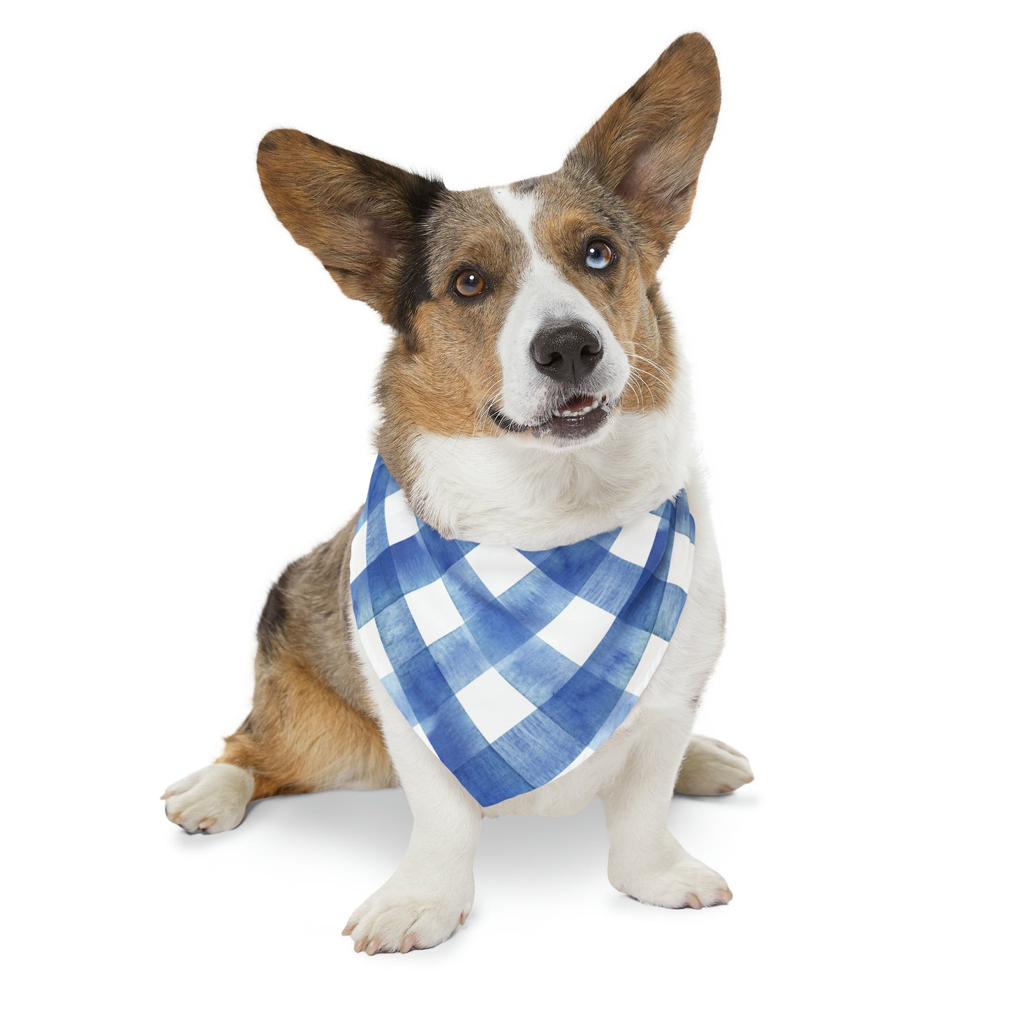 Bold Blue Bandana