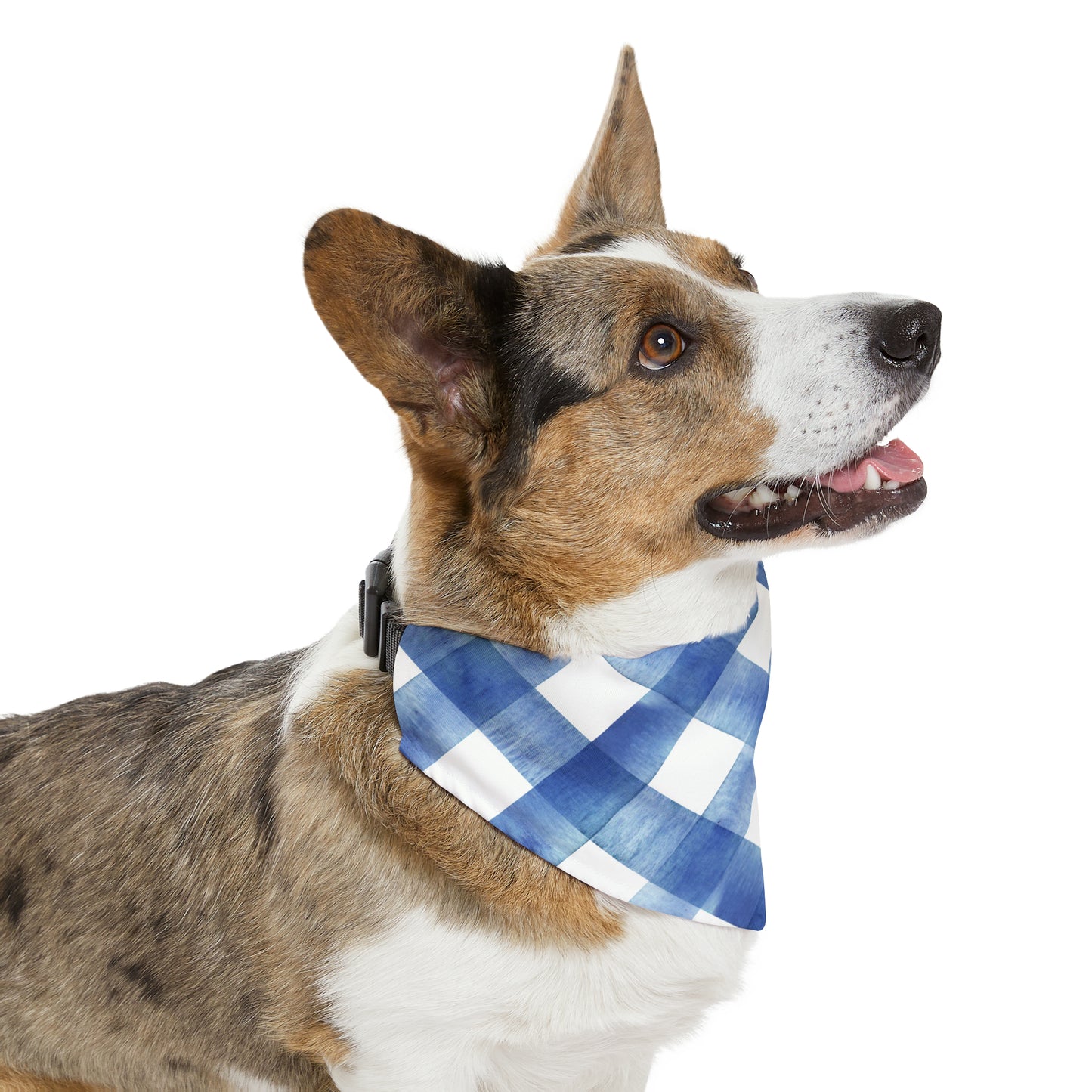 Bold Blue Bandana